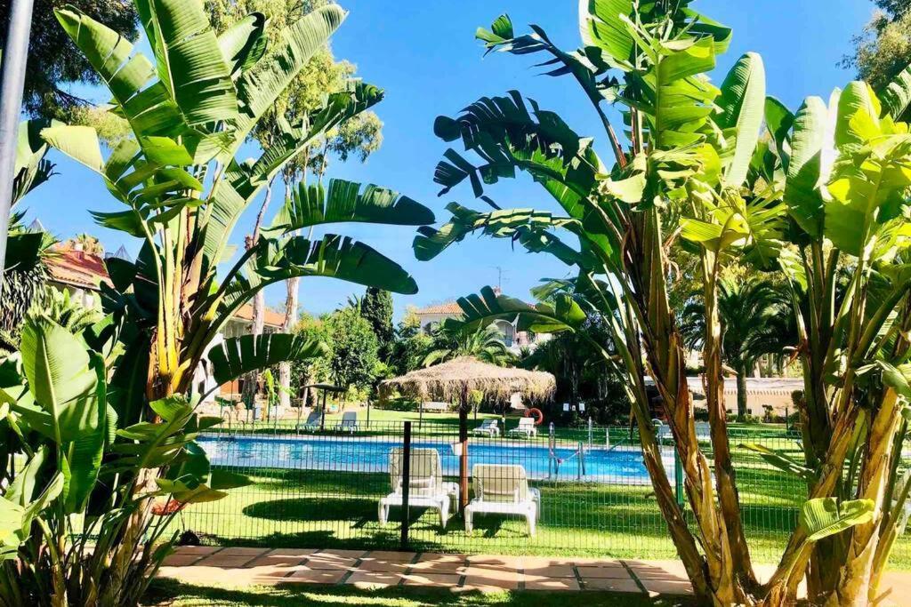 Puerto Banus Richi Suite Marbella Dış mekan fotoğraf